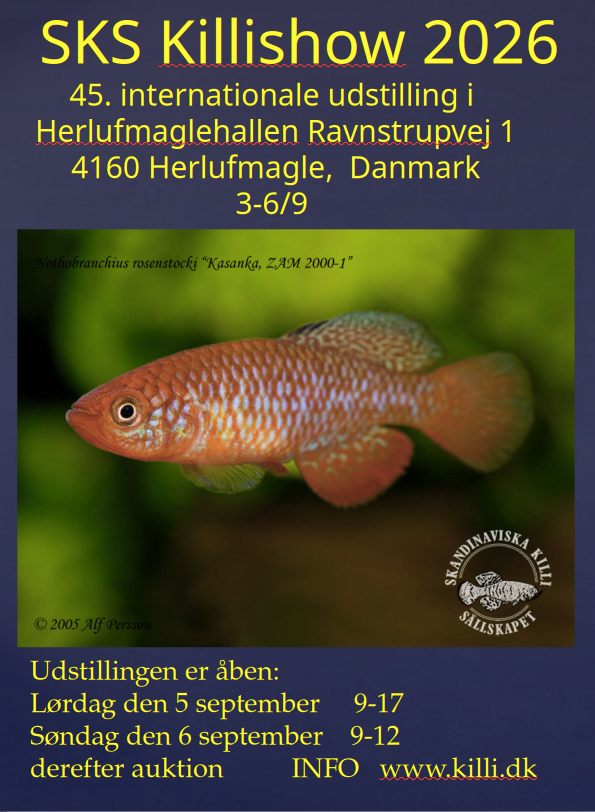 SKS 2024 Poster A4 W DK